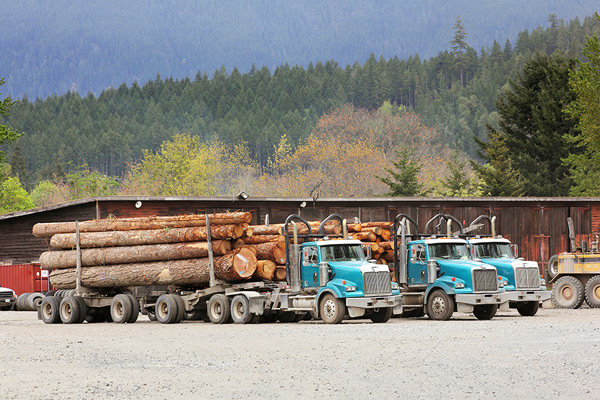 Forestry trucks